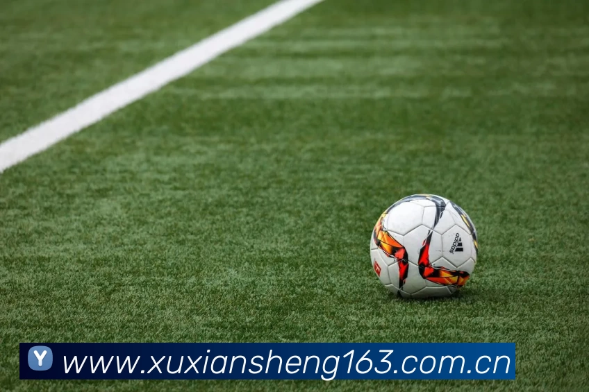 qy·体育国际(中国)官方网站发展历程